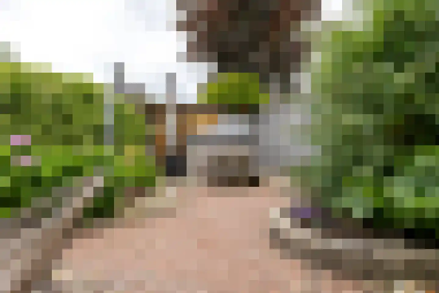 Mounesleat 10 Terwispel thumbnail 29