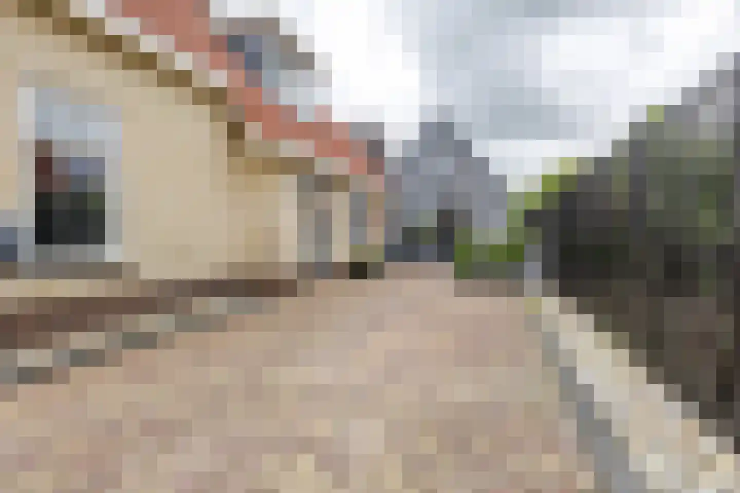 Mounesleat 10 Terwispel thumbnail 32