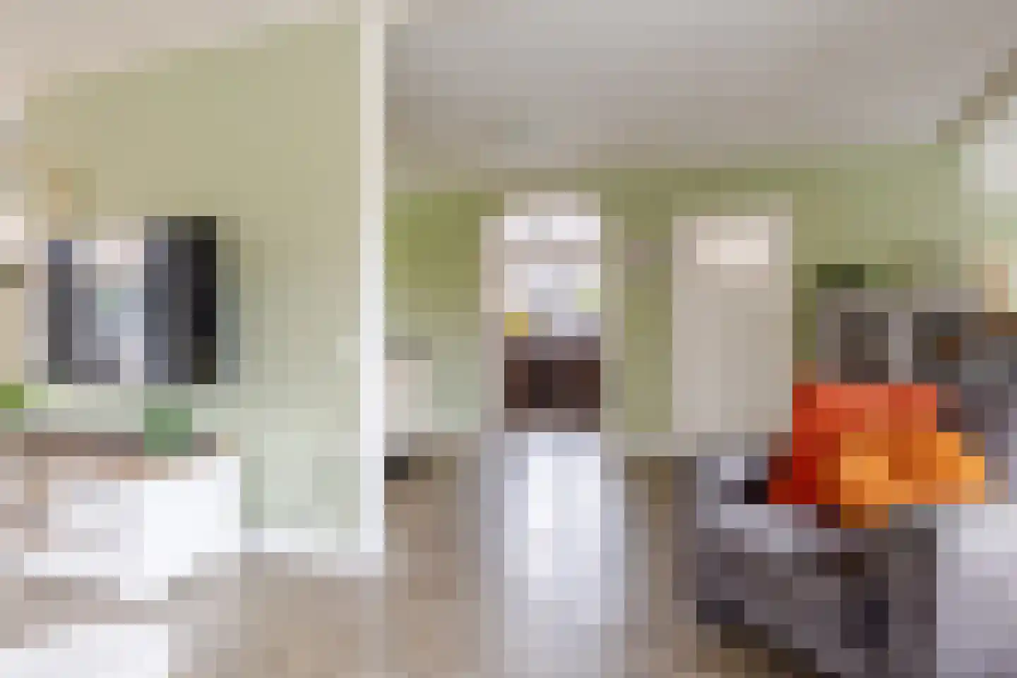 Mounesleat 10 Terwispel thumbnail 40