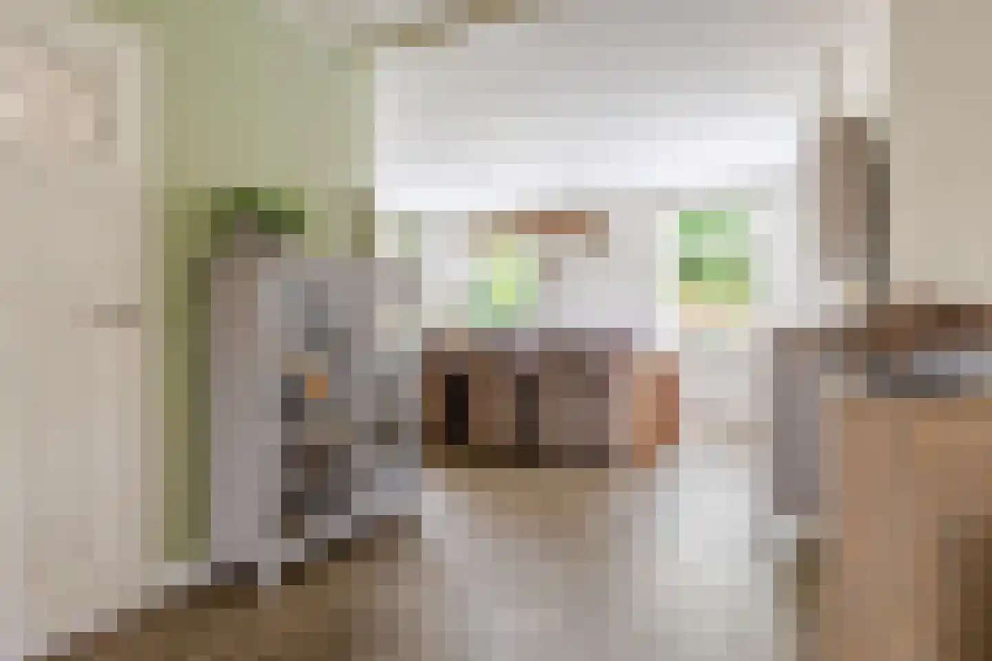 Mounesleat 10 Terwispel thumbnail 43