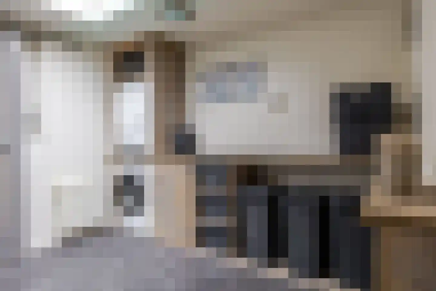 Mounesleat 10 Terwispel thumbnail 51