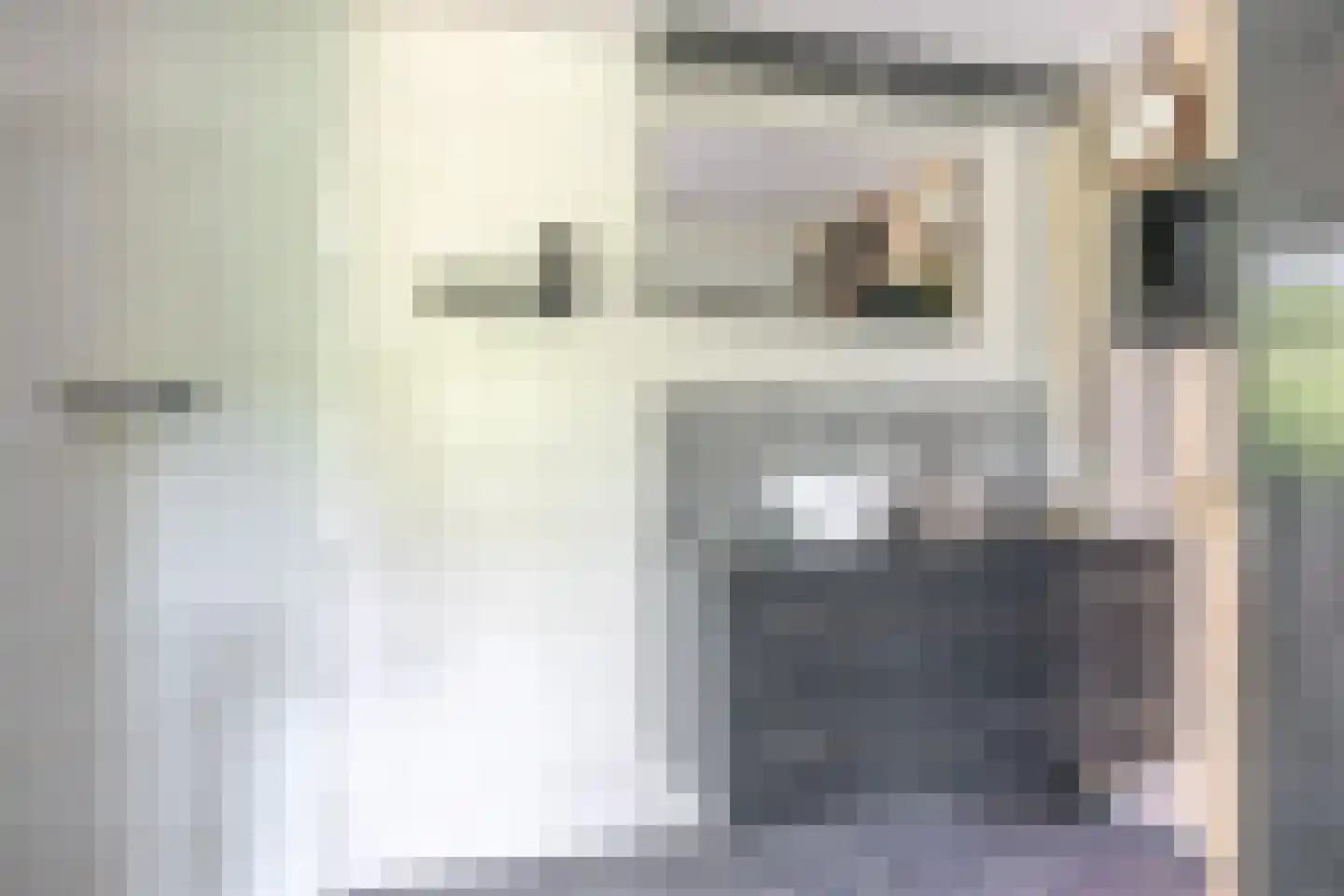 Mounesleat 10 Terwispel thumbnail 65