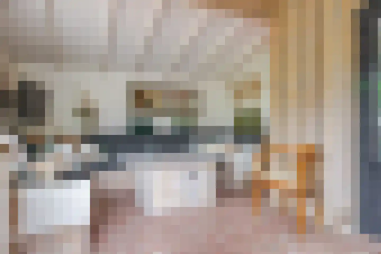 Mounesleat 10 Terwispel thumbnail 66