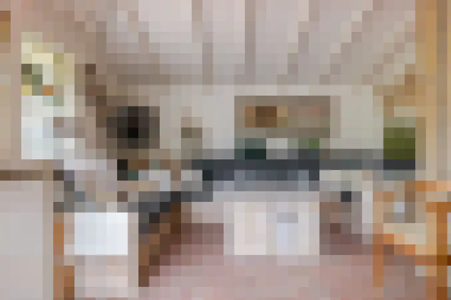 Mounesleat 10 Terwispel thumbnail 67
