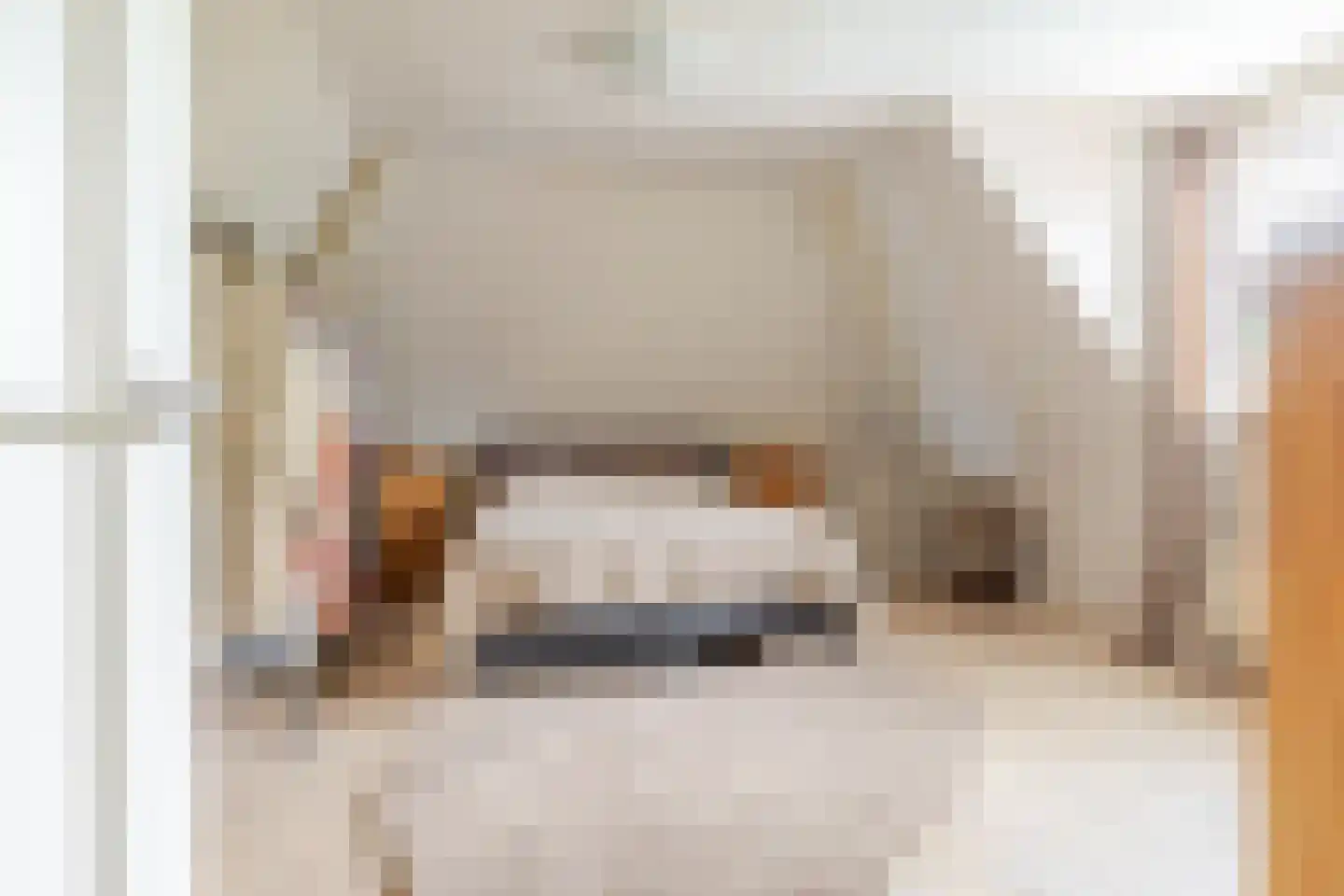 Mounesleat 10 Terwispel thumbnail 73