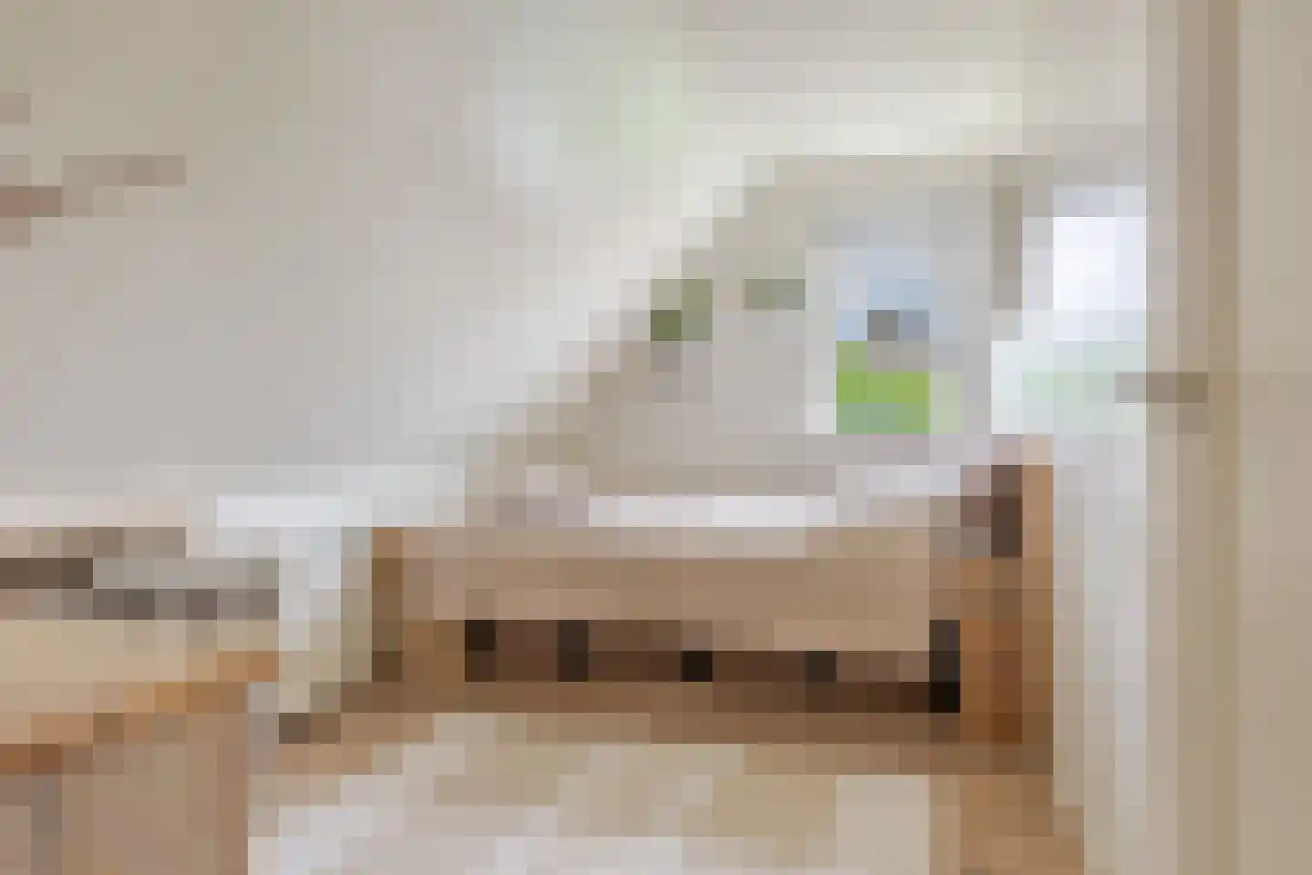 Mounesleat 10 Terwispel thumbnail 77
