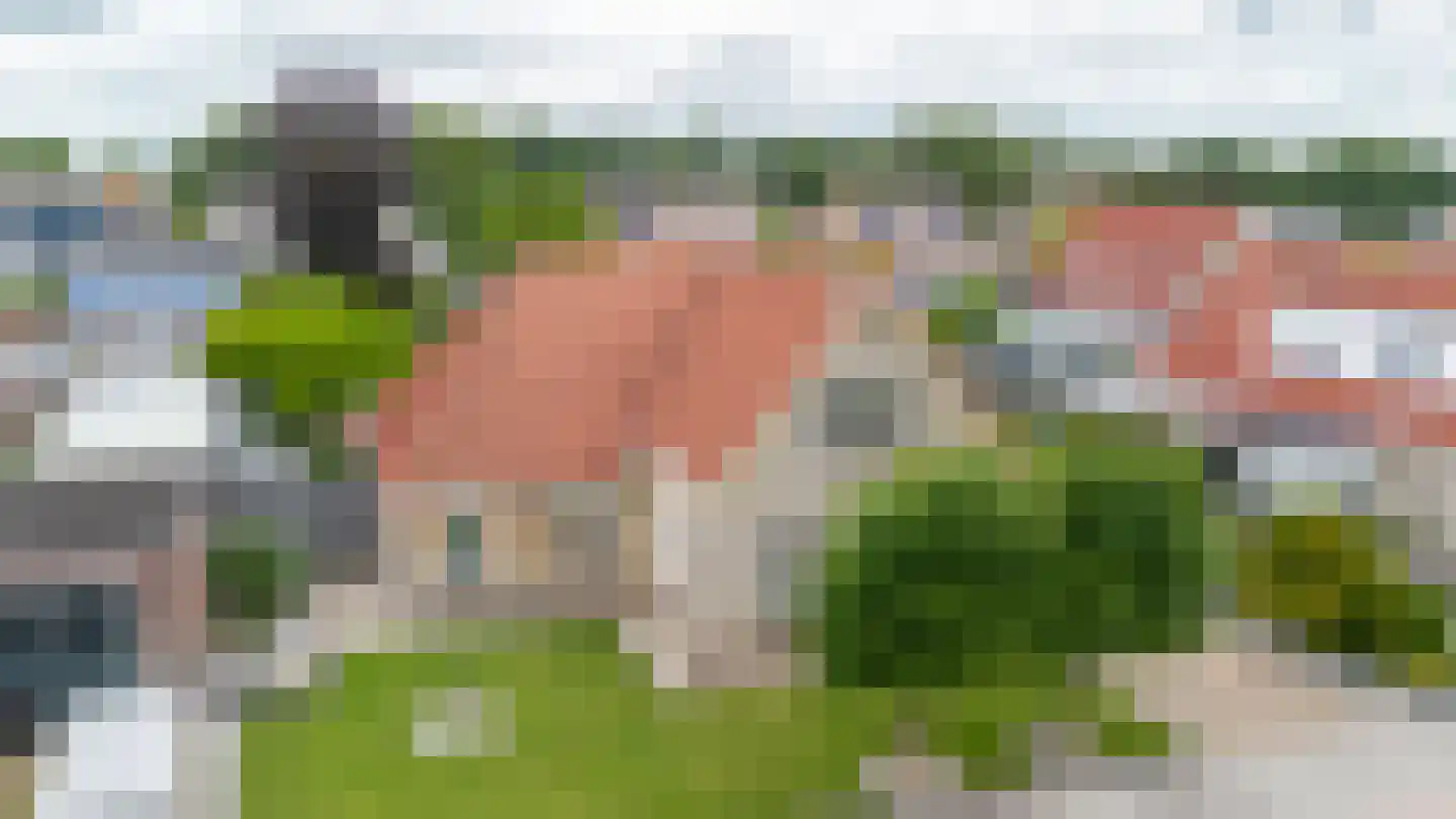 Mounesleat 10 Terwispel thumbnail 8