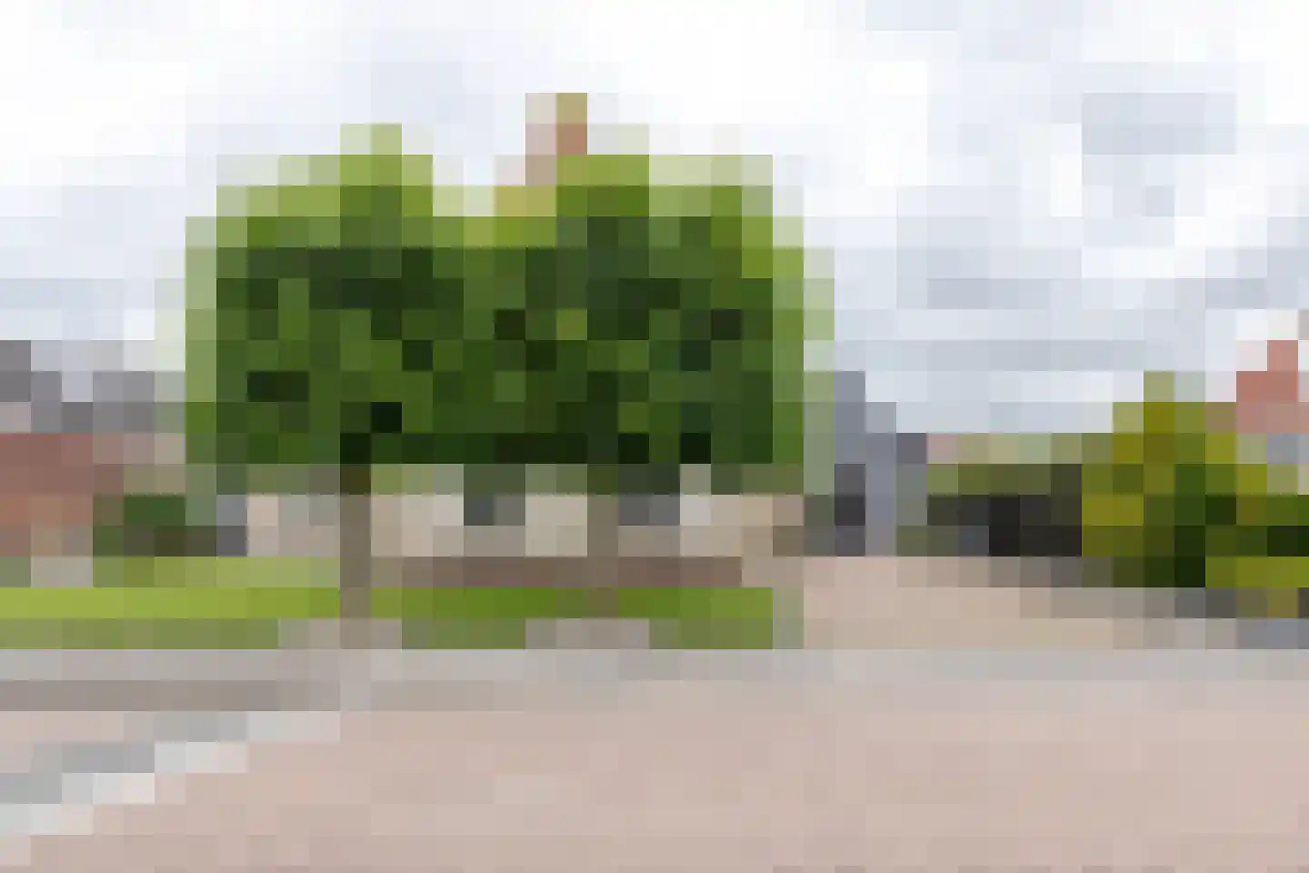 Mounesleat 10 Terwispel thumbnail 9