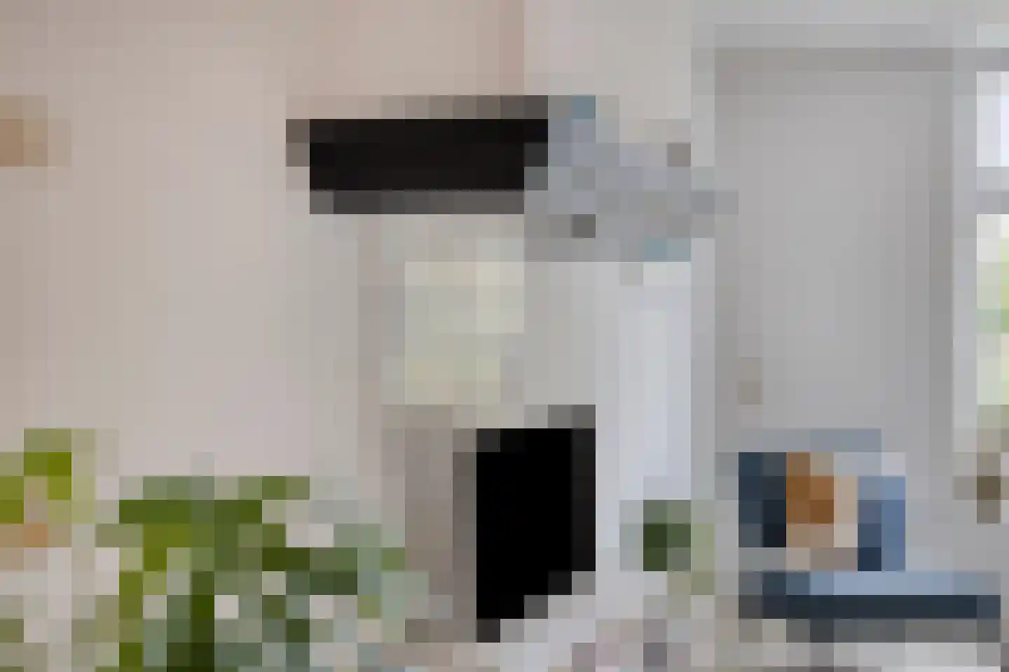 Mounestrjitte 10 Easterwierrum thumbnail 11