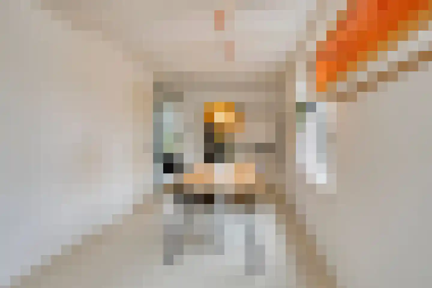 Mounestrjitte 10 Easterwierrum thumbnail 12