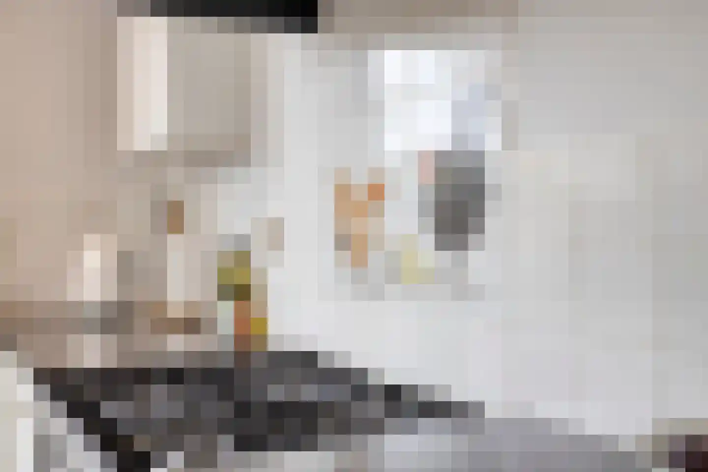 Mounestrjitte 10 Easterwierrum thumbnail 15