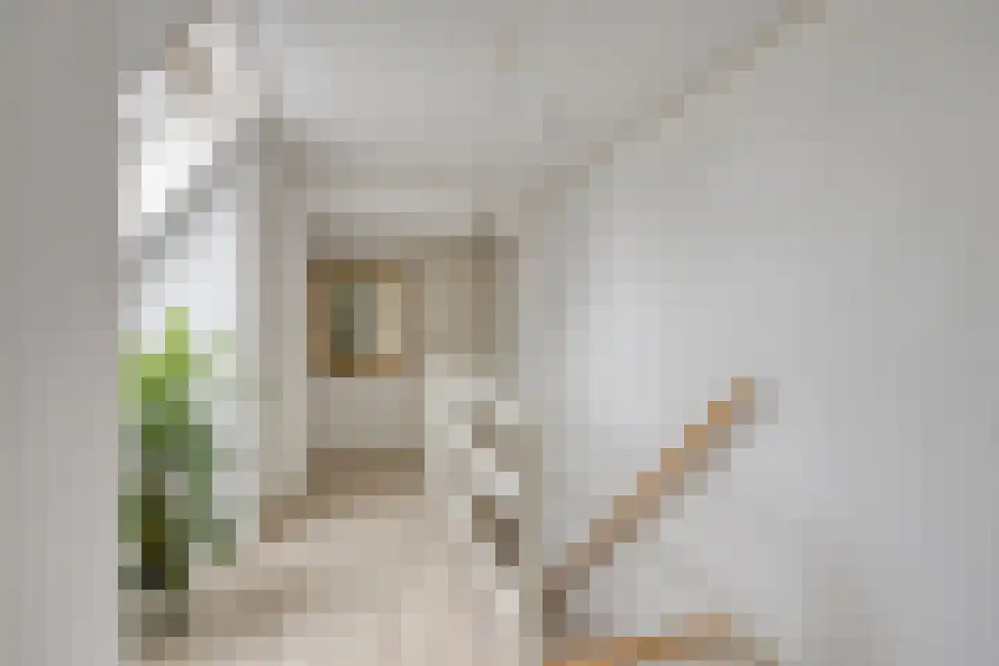 Mounestrjitte 10 Easterwierrum thumbnail 20