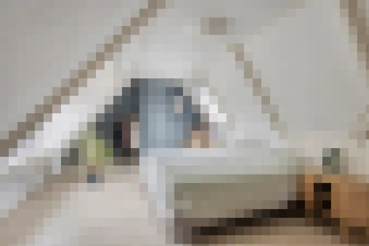 Mounestrjitte 10 Easterwierrum thumbnail 21