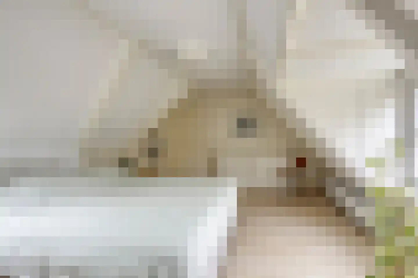 Mounestrjitte 10 Easterwierrum thumbnail 22