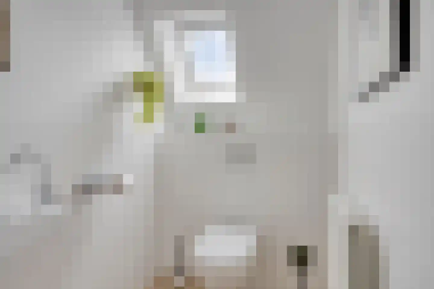 Mounestrjitte 10 Easterwierrum thumbnail 25