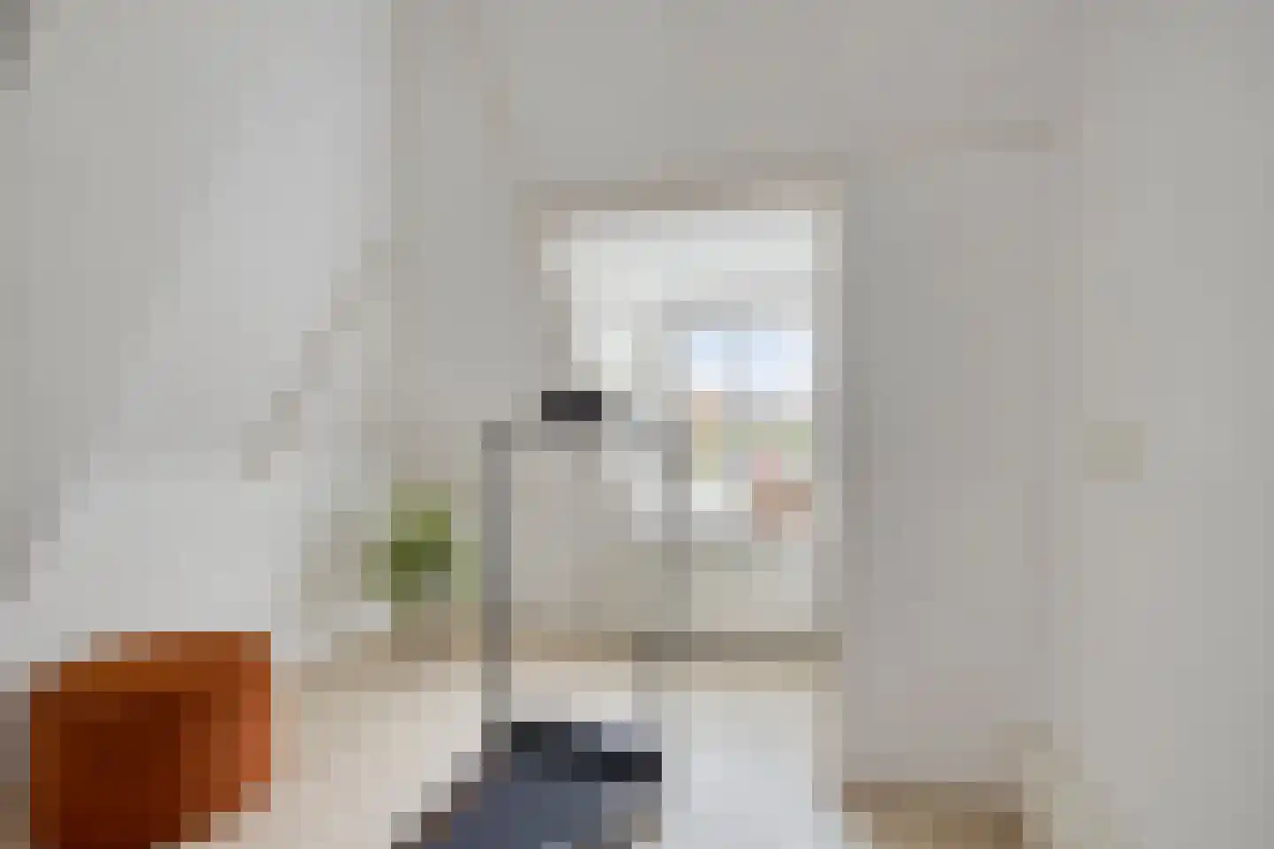 Mounestrjitte 10 Easterwierrum thumbnail 26