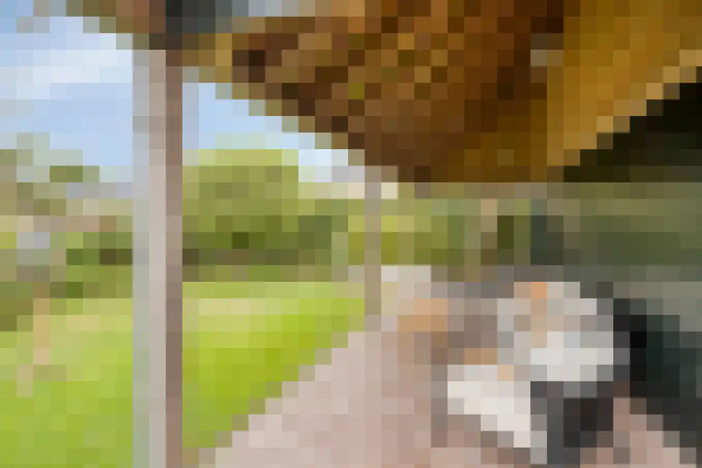 Mounestrjitte 10 Easterwierrum thumbnail 28