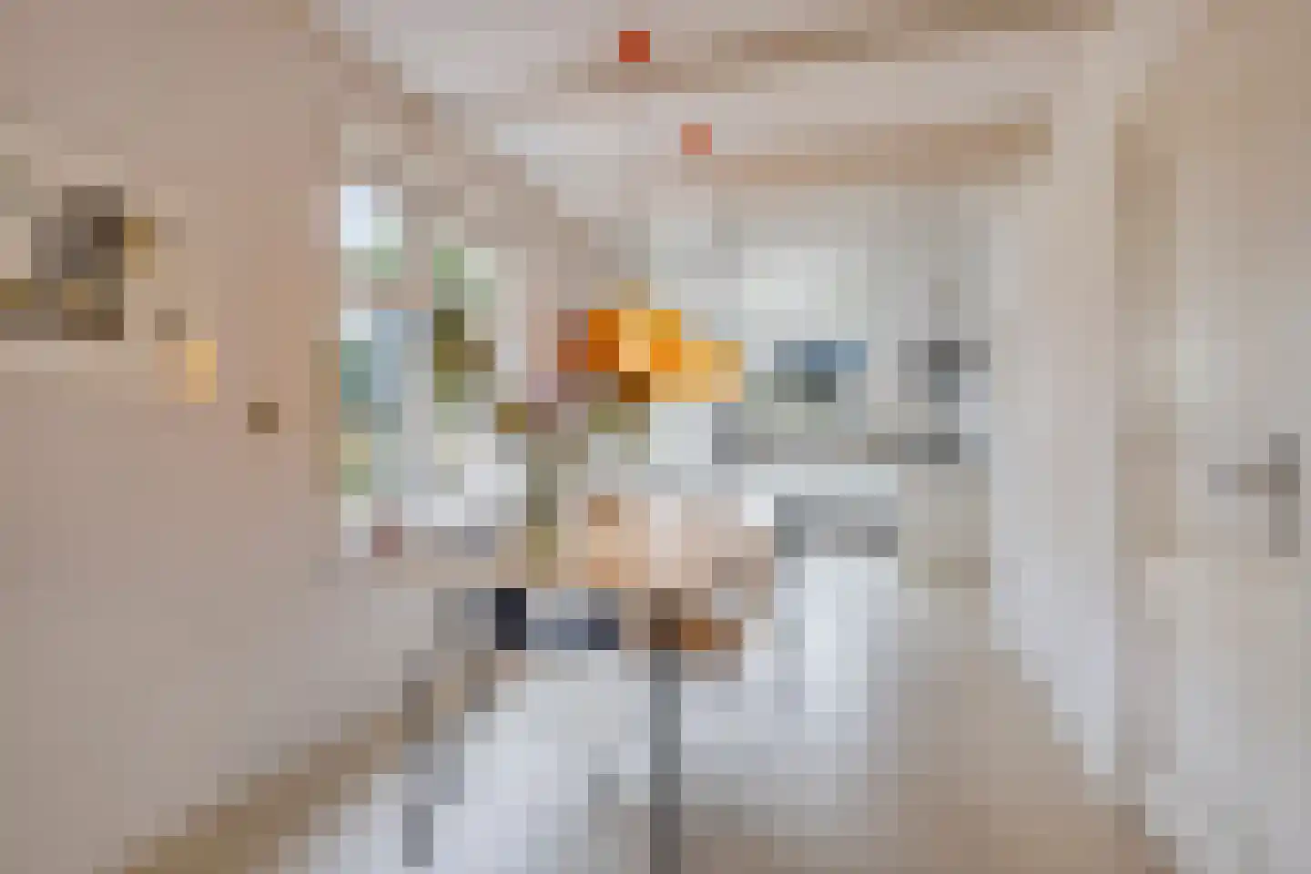 Mounestrjitte 10 Easterwierrum thumbnail 6