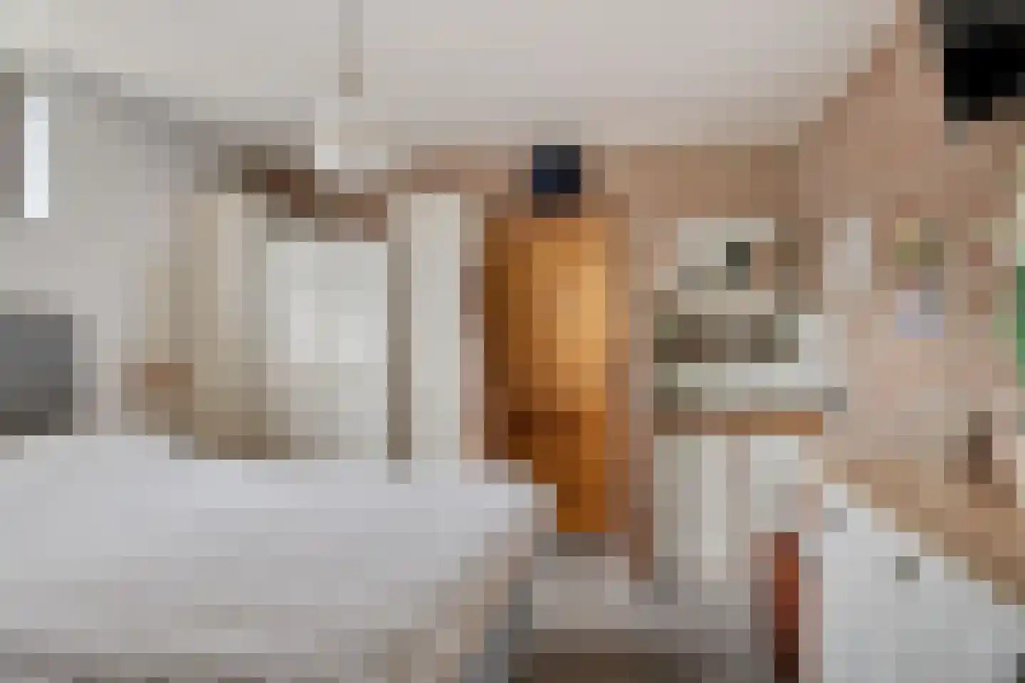 Mounestrjitte 7 Ureterp thumbnail 13