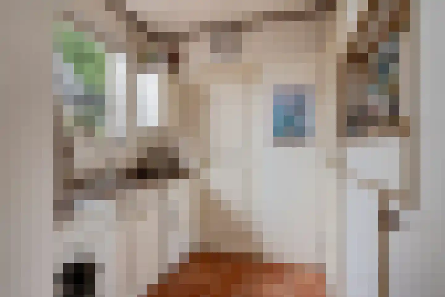 Mounestrjitte 7 Ureterp thumbnail 17