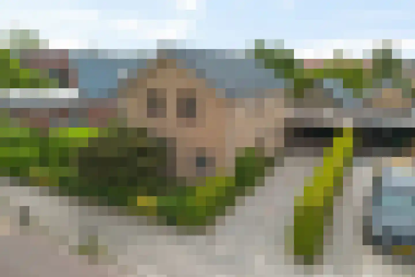 Mounestrjitte 7 Ureterp foto 2
