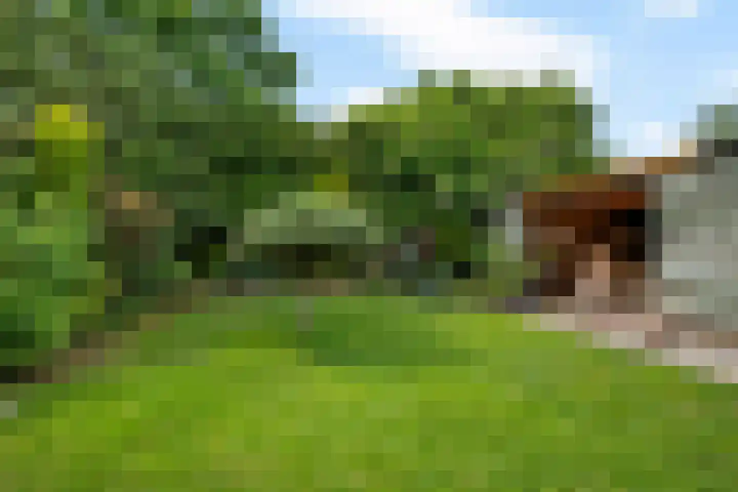 Mounestrjitte 7 Ureterp foto 3