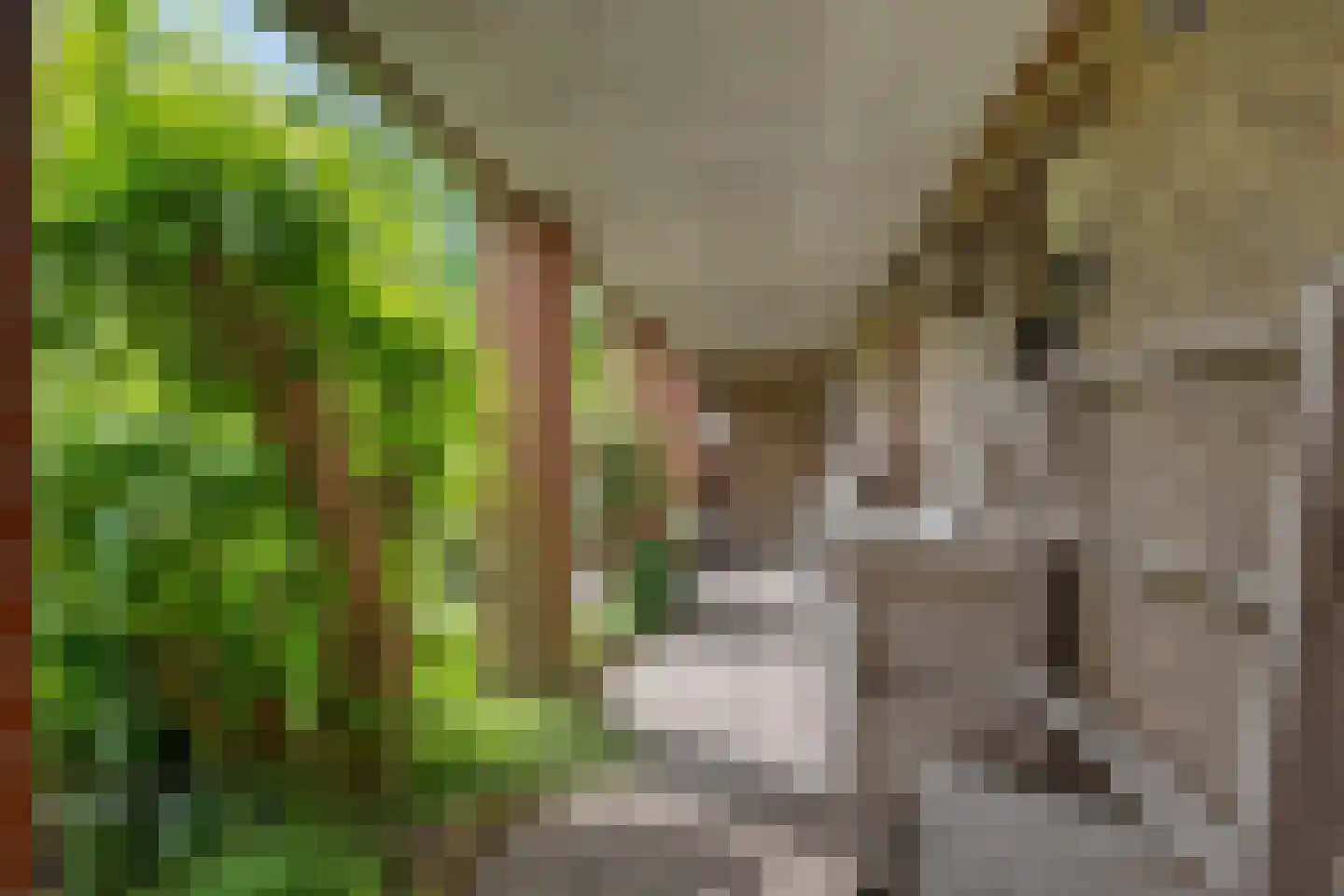 Mounestrjitte 7 Ureterp thumbnail 38