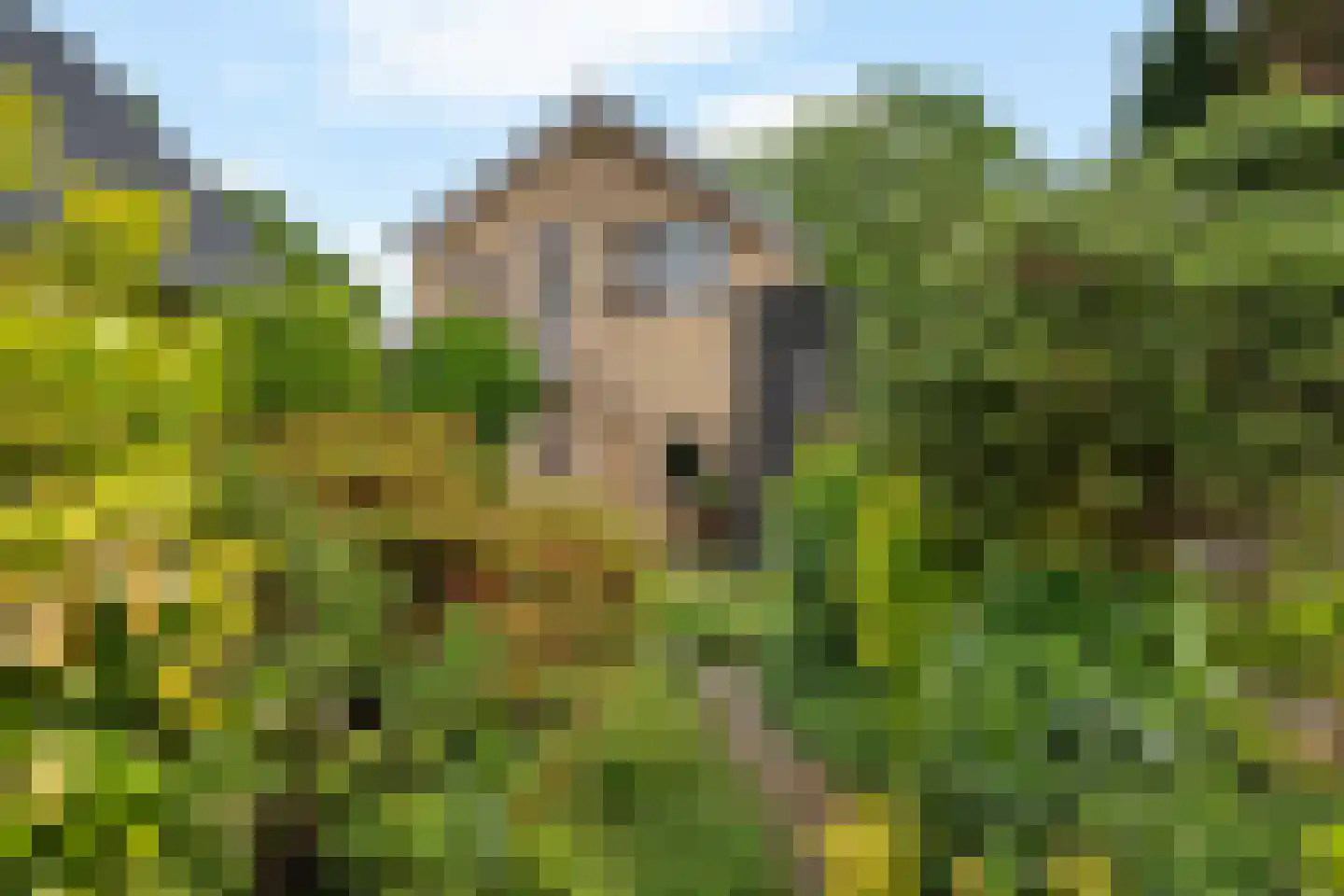 Mounestrjitte 7 Ureterp thumbnail 39