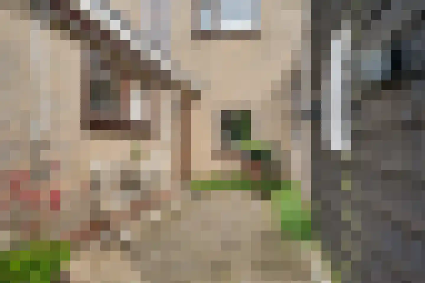 Mounestrjitte 7 Ureterp thumbnail 40