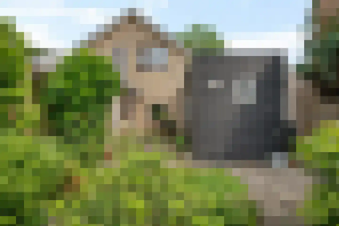 Mounestrjitte 7 Ureterp thumbnail 41