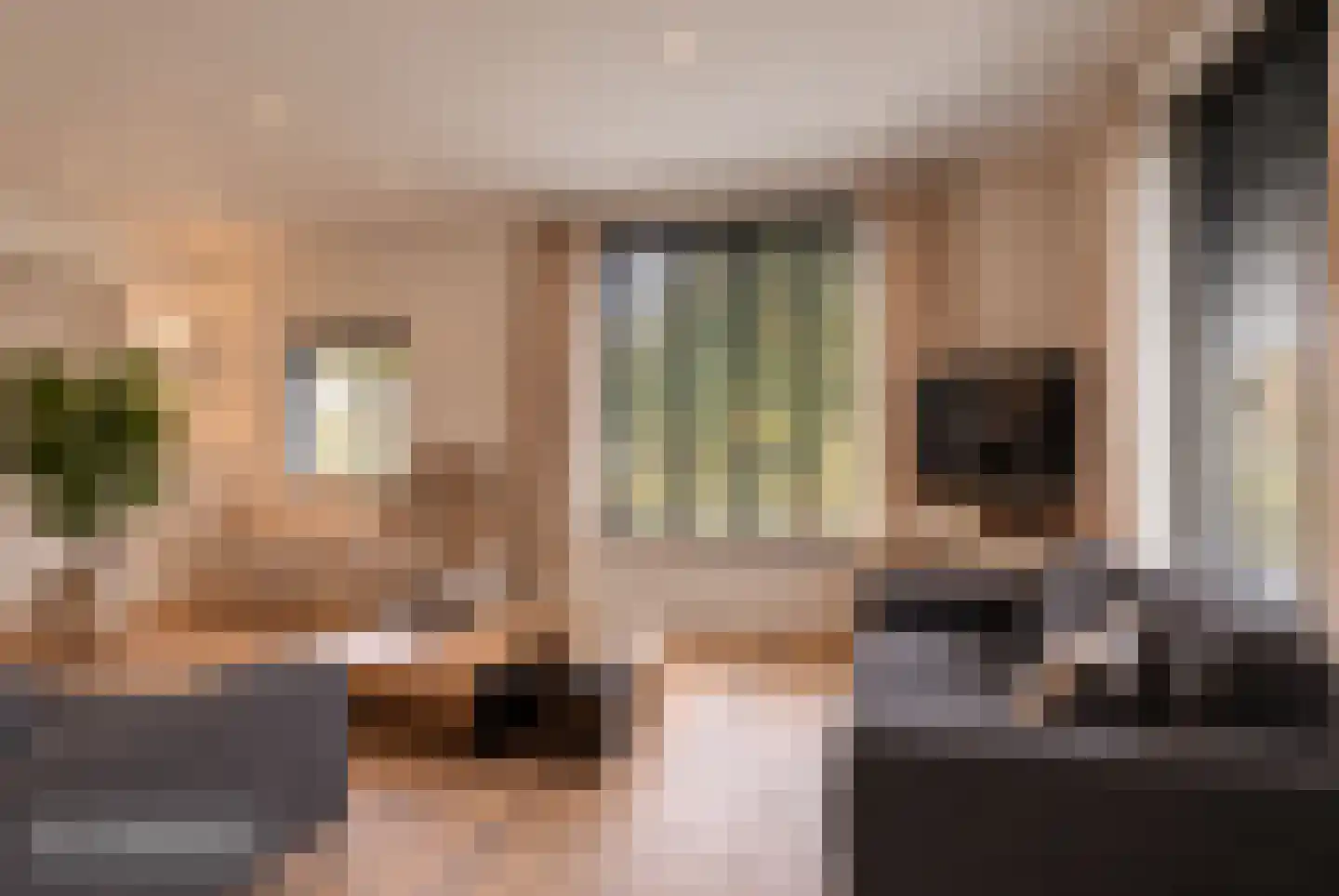 Mounestrjitte 7 Ureterp thumbnail 5