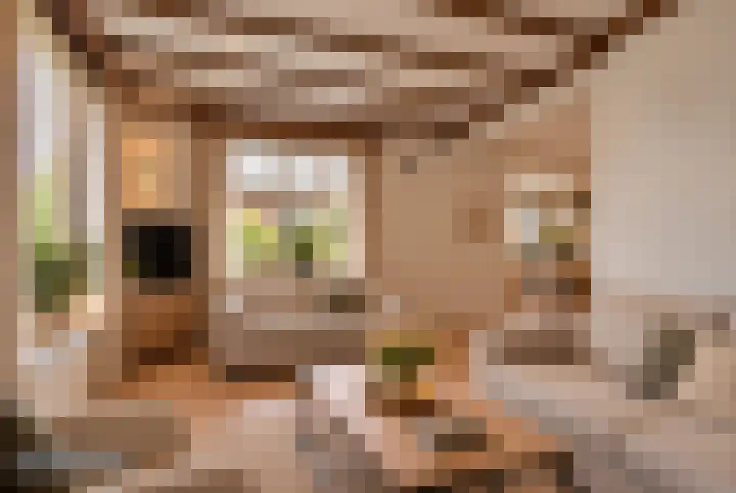 Mounestrjitte 7 Ureterp thumbnail 7