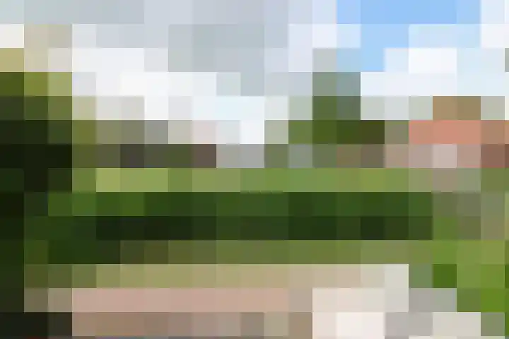 Mounestrjitte 8 Easterwierrum thumbnail 13