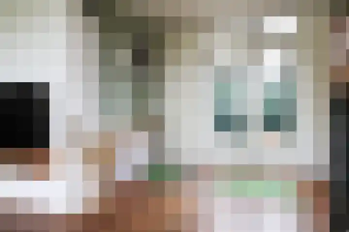 Mounestrjitte 8 Easterwierrum thumbnail 25
