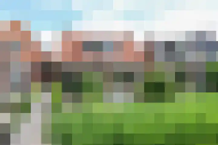 Mounestrjitte 8 Easterwierrum thumbnail 4