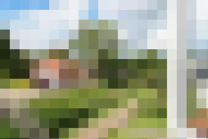 Mounestrjitte 8 Easterwierrum thumbnail 55