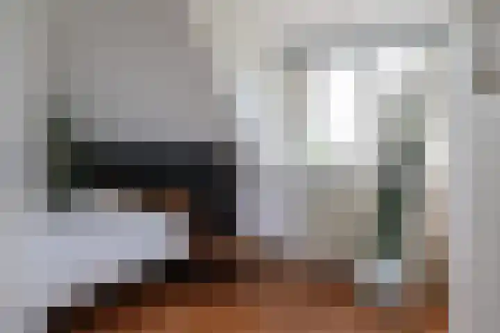 Mounestrjitte 8 Easterwierrum thumbnail 56