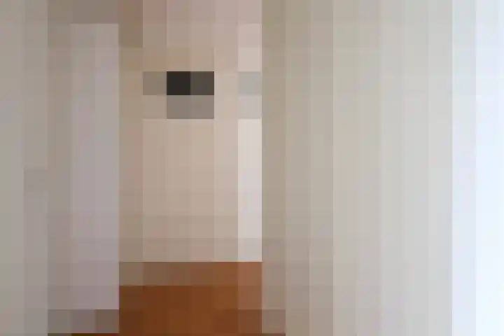 Mounestrjitte 8 Easterwierrum thumbnail 60