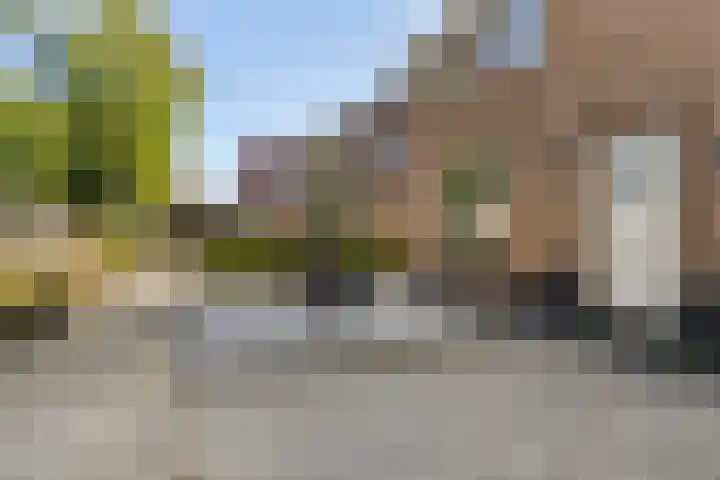 Mounewei 31 Twijzel thumbnail 10