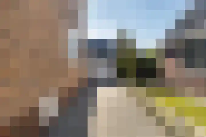 Mounewei 31 Twijzel thumbnail 11
