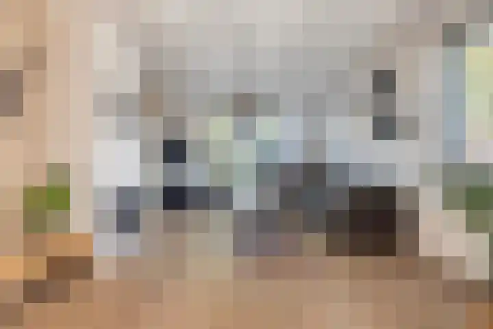Mounewei 31 Twijzel thumbnail 14