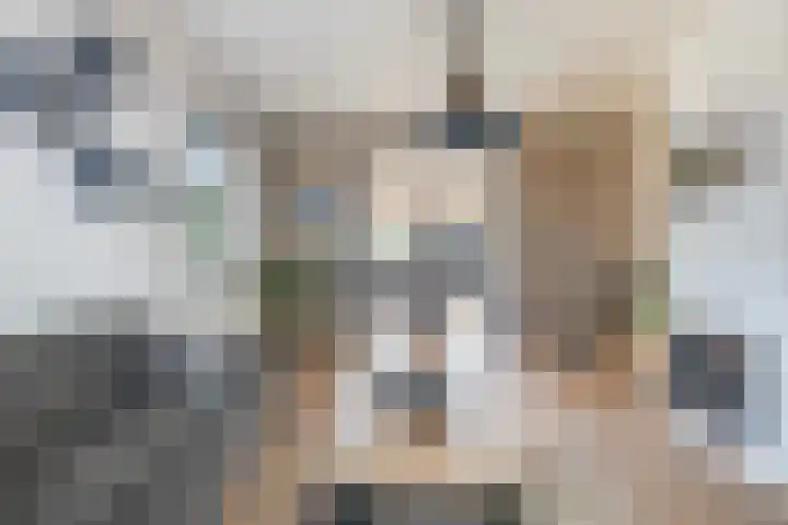 Mounewei 31 Twijzel thumbnail 15