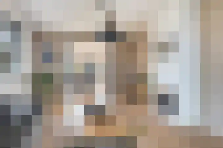 Mounewei 31 Twijzel thumbnail 16