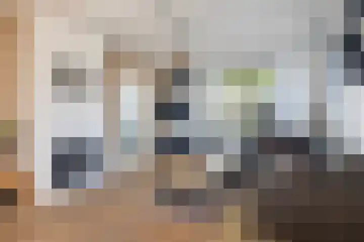 Mounewei 31 Twijzel thumbnail 17