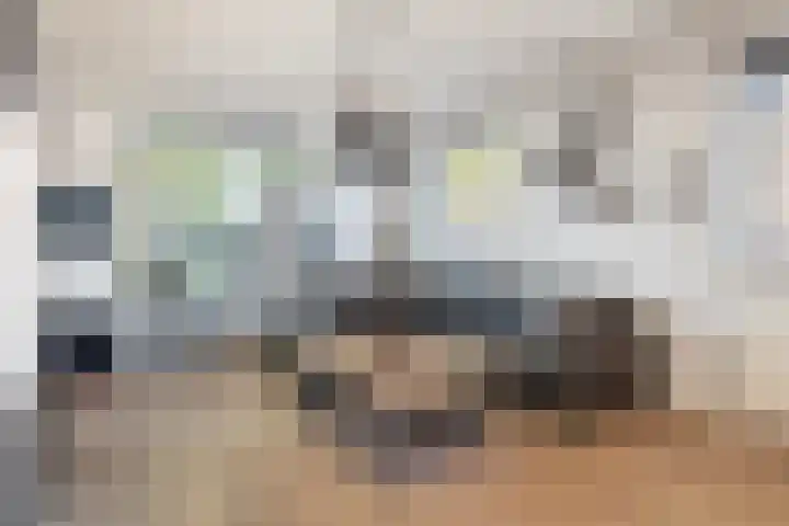 Mounewei 31 Twijzel thumbnail 18