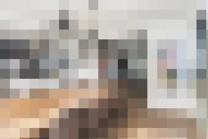 Mounewei 31 Twijzel thumbnail 19
