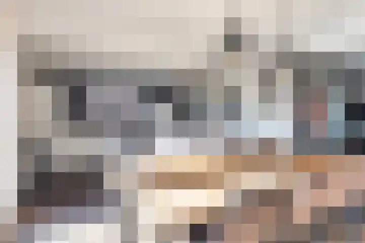 Mounewei 31 Twijzel thumbnail 20