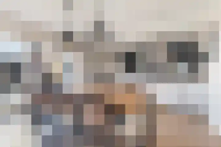 Mounewei 31 Twijzel thumbnail 22