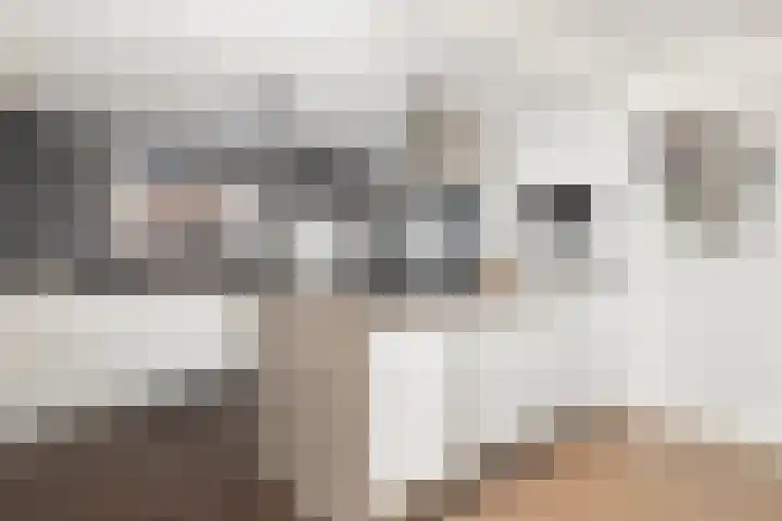 Mounewei 31 Twijzel thumbnail 23