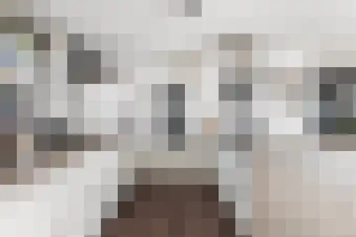 Mounewei 31 Twijzel thumbnail 24
